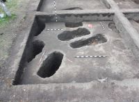 Cronica Cercetărilor Arheologice din România, Campania 2011. Raportul nr. 179, Carei, Bobald (Livadă)<br /><a href='CronicaCAfotografii/2011/179/carei-bobald-c4-locuinta-l2-2010.jpg' target=_blank>Priveşte aceeaşi imagine într-o fereastră nouă</a>