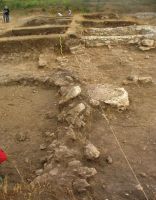 Chronicle of the Archaeological Excavations in Romania, 2012 Campaign. Report no. 2, Albeşti, La Cetate<br /><a href='CronicaCAfotografii/2012/002-ALBESTI-CT-Cetate/2.jpg' target=_blank>Display the same picture in a new window</a>