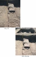 Chronicle of the Archaeological Excavations in Romania, 2012 Campaign. Report no. 2, Albeşti, La Cetate<br /><a href='CronicaCAfotografii/2012/002-ALBESTI-CT-Cetate/pl-3-albesti-2012.jpg' target=_blank>Display the same picture in a new window</a>