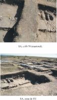 Chronicle of the Archaeological Excavations in Romania, 2012 Campaign. Report no. 2, Albeşti, La Cetate<br /><a href='CronicaCAfotografii/2012/002-ALBESTI-CT-Cetate/pl-4-albesti-2012.jpg' target=_blank>Display the same picture in a new window</a>