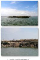 Cronica Cercetărilor Arheologice din România, Campania 2012. Raportul nr. 42, Năvodari, La Ostrov (Lacul Taşaul)<br /><a href='CronicaCAfotografii/2012/042-NAVODARI-CT-Insula-La-Ostrov/navodari-pl-1-7-page-1.jpg' target=_blank>Priveşte aceeaşi imagine într-o fereastră nouă</a>