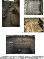 Cronica Cercetărilor Arheologice din România, Campania 2012. Raportul nr. 51, Pietroasa Mică, Gruiu Dării<br /><a href='CronicaCAfotografii/2012/051-PIETROASA-MICA-BZ-Gruiu-Darii/gruiu-darii-2012-cronica-2013-fig1.jpg' target=_blank>Priveşte aceeaşi imagine într-o fereastră nouă</a>