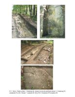 Cronica Cercetărilor Arheologice din România, Campania 2012. Raportul nr. 68, Târcov, La piatra cu lilieci<br /><a href='CronicaCAfotografii/2012/068-TARCOV-BZ-Piatra-cu-Lilieci/02-tarcov-2012-cronica2013-planse.jpg' target=_blank>Priveşte aceeaşi imagine într-o fereastră nouă</a>