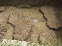 Cronica Cercetărilor Arheologice din România, Campania 2012. Raportul nr. 71, Ţaga, Baza arheologică<br /><a href='CronicaCAfotografii/2012/071-TAGA-CJ/4taga.jpg' target=_blank>Priveşte aceeaşi imagine într-o fereastră nouă</a>