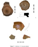 Cronica Cercetărilor Arheologice din România, Campania 2012. Raportul nr. 77.1, Cicăneşti, Sălişte<br /><a href='CronicaCAfotografii/2012/077A-BARASTI-AG/cicanesti-ilustatie-cronica-5.jpg' target=_blank>Priveşte aceeaşi imagine într-o fereastră nouă</a>