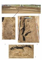 Cronica Cercetărilor Arheologice din România, Campania 2012. Raportul nr. 78, Ploieştiori, Serus<br /><a href='CronicaCAfotografii/2012/078-BLEJOI-PH-Serus/plansa-1-blejoi.jpg' target=_blank>Priveşte aceeaşi imagine într-o fereastră nouă</a>