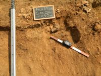 Cronica Cercetărilor Arheologice din România, Campania 2012. Raportul nr. 89, Fulgeriş, La Trei Cireşi (Dealul Fulgeriş).<br /> Sectorul Ilustratie.<br /><a href='CronicaCAfotografii/2012/089-FULGERIS-BC-La-3-Ciresi/fig-10-a-imagini-detaliu-sectiune.JPG' target=_blank>Priveşte aceeaşi imagine într-o fereastră nouă</a>