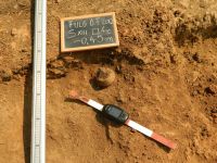 Cronica Cercetărilor Arheologice din România, Campania 2012. Raportul nr. 89, Fulgeriş, La Trei Cireşi (Dealul Fulgeriş).<br /> Sectorul Ilustratie.<br /><a href='CronicaCAfotografii/2012/089-FULGERIS-BC-La-3-Ciresi/fig-10-b.JPG' target=_blank>Priveşte aceeaşi imagine într-o fereastră nouă</a>