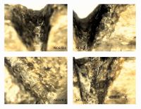 Cronica Cercetărilor Arheologice din România, Campania 2012. Raportul nr. 95, Negrileşti, Şcoala Generală (La Punte, Pin, Curtea Şcolii).<br /> Sectorul plansa-IMDA.<br /><a href='CronicaCAfotografii/2012/095-NEGRILESTI-GL-Curtea-Scolii/plansa-IMDA/fig-10.jpg' target=_blank>Priveşte aceeaşi imagine într-o fereastră nouă</a>. Titlu: plansa-IMDA