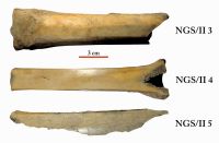 Cronica Cercetărilor Arheologice din România, Campania 2012. Raportul nr. 95, Negrileşti, Şcoala Generală (La Punte, Pin, Curtea Şcolii).<br /> Sectorul plansa-IMDA.<br /><a href='CronicaCAfotografii/2012/095-NEGRILESTI-GL-Curtea-Scolii/plansa-IMDA/fig-11.jpg' target=_blank>Priveşte aceeaşi imagine într-o fereastră nouă</a>. Titlu: plansa-IMDA