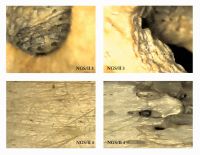 Cronica Cercetărilor Arheologice din România, Campania 2012. Raportul nr. 95, Negrileşti, Şcoala Generală (La Punte, Pin, Curtea Şcolii).<br /> Sectorul plansa-IMDA.<br /><a href='CronicaCAfotografii/2012/095-NEGRILESTI-GL-Curtea-Scolii/plansa-IMDA/fig-12.jpg' target=_blank>Priveşte aceeaşi imagine într-o fereastră nouă</a>. Titlu: plansa-IMDA