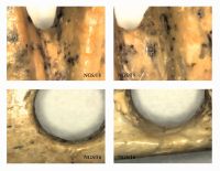Cronica Cercetărilor Arheologice din România, Campania 2012. Raportul nr. 95, Negrileşti, Şcoala Generală (La Punte, Pin, Curtea Şcolii).<br /> Sectorul plansa-IMDA.<br /><a href='CronicaCAfotografii/2012/095-NEGRILESTI-GL-Curtea-Scolii/plansa-IMDA/fig-5.jpg' target=_blank>Priveşte aceeaşi imagine într-o fereastră nouă</a>. Titlu: plansa-IMDA
