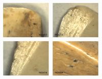 Cronica Cercetărilor Arheologice din România, Campania 2012. Raportul nr. 95, Negrileşti, Şcoala Generală (La Punte, Pin, Curtea Şcolii).<br /> Sectorul plansa-IMDA.<br /><a href='CronicaCAfotografii/2012/095-NEGRILESTI-GL-Curtea-Scolii/plansa-IMDA/fig-7.jpg' target=_blank>Priveşte aceeaşi imagine într-o fereastră nouă</a>. Titlu: plansa-IMDA