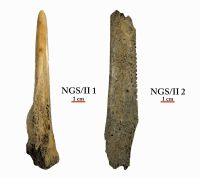 Cronica Cercetărilor Arheologice din România, Campania 2012. Raportul nr. 95, Negrileşti, Şcoala Generală (La Punte, Pin, Curtea Şcolii).<br /> Sectorul plansa-IMDA.<br /><a href='CronicaCAfotografii/2012/095-NEGRILESTI-GL-Curtea-Scolii/plansa-IMDA/fig-8.jpg' target=_blank>Priveşte aceeaşi imagine într-o fereastră nouă</a>. Titlu: plansa-IMDA