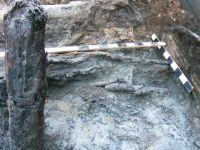 Cronica Cercetărilor Arheologice din România, Campania 2012. Raportul nr. 100, Sibiu, Guşteriţa<br /><a href='CronicaCAfotografii/2012/100-SIBIU-SB-fortificatia-medievala/foto-5.jpg' target=_blank>Priveşte aceeaşi imagine într-o fereastră nouă</a>