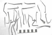 Cronica Cercetărilor Arheologice din România, Campania 2012. Raportul nr. 100, Sibiu, Guşteriţa<br /><a href='CronicaCAfotografii/2012/100-SIBIU-SB-fortificatia-medievala/fotografia-12.jpg' target=_blank>Priveşte aceeaşi imagine într-o fereastră nouă</a>