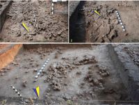 Cronica Cercetărilor Arheologice din România, Campania 2012. Raportul nr. 113.1, Ripiceni, La Holm (La Telescu)<br /><a href='CronicaCAfotografii/2012/113A-RIPICENI-BT/fig-5-ripiceni-l-2-2012.jpg' target=_blank>Priveşte aceeaşi imagine într-o fereastră nouă</a>