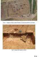 Chronicle of the Archaeological Excavations in Romania, 2012 Campaign. Report no. 139, Tărtăria, Podul Tărtăriei est (Autostrada Orăştie-Sibiu, lot 1, Sit 8, km. 15+100–15+350)<br /><a href='CronicaCAfotografii/2012/139-TARTARIA-AB-Sit-8/A1OS1-Sit8-pl3.jpg' target=_blank>Display the same picture in a new window</a>