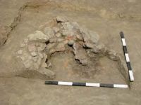 Cronica Cercetărilor Arheologice din România, Campania 2013. Raportul nr. 19, Vadu Săpat, Puţul Tătarului (Budureasca 4 Nord)<br /><a href='CronicaCAfotografii/2013/019-budureasca/fig-2-4.jpg' target=_blank>Priveşte aceeaşi imagine într-o fereastră nouă</a>