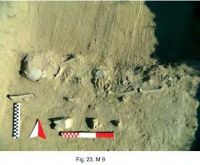 Cronica Cercetărilor Arheologice din România, Campania 2013. Raportul nr. 21, Capidava, Sectorul X extramuros - terasa B.<br /> Sectorul 021-5204.<br /><a href='CronicaCAfotografii/2013/021-capidava-de-revenit/021-5204/fig-23.jpg' target=_blank>Priveşte aceeaşi imagine într-o fereastră nouă</a>. Titlu: 021-5204