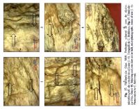 Cronica Cercetărilor Arheologice din România, Campania 2013. Raportul nr. 31, Fântânele, La Gâţa (Dâmbul Popii)<br /><a href='CronicaCAfotografii/2013/031-fantanele/fig-17.jpg' target=_blank>Priveşte aceeaşi imagine într-o fereastră nouă</a>