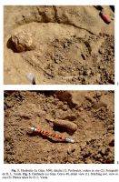 Cronica Cercetărilor Arheologice din România, Campania 2013. Raportul nr. 31, Fântânele, La Gâţa (Dâmbul Popii)<br /><a href='CronicaCAfotografii/2013/031-fantanele/fig-3.jpg' target=_blank>Priveşte aceeaşi imagine într-o fereastră nouă</a>