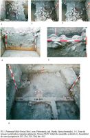 Cronica Cercetărilor Arheologice din România, Campania 2013. Raportul nr. 36, Pietroasa Mică, Gruiu Dării<br /><a href='CronicaCAfotografii/2013/036-pietroasa-mica/pl-1.jpg' target=_blank>Priveşte aceeaşi imagine într-o fereastră nouă</a>