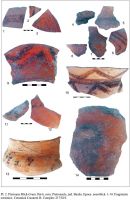 Cronica Cercetărilor Arheologice din România, Campania 2013. Raportul nr. 36, Pietroasa Mică, Gruiu Dării<br /><a href='CronicaCAfotografii/2013/036-pietroasa-mica/pl-2.jpg' target=_blank>Priveşte aceeaşi imagine într-o fereastră nouă</a>