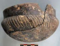 Cronica Cercetărilor Arheologice din România, Campania 2013. Raportul nr. 64, Petreştii De Jos, Cheile Turzii, Peştera Ungurească, Peştera Binder<br /><a href='CronicaCAfotografii/2013/064-petresti/fig-4-a.jpg' target=_blank>Priveşte aceeaşi imagine într-o fereastră nouă</a>