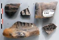 Cronica Cercetărilor Arheologice din România, Campania 2013. Raportul nr. 64, Petreştii De Jos, Cheile Turzii, Peştera Ungurească, Peştera Binder<br /><a href='CronicaCAfotografii/2013/064-petresti/fig-6-a.jpg' target=_blank>Priveşte aceeaşi imagine într-o fereastră nouă</a>