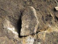 Cronica Cercetărilor Arheologice din România, Campania 2013. Raportul nr. 64, Petreştii De Jos, Cheile Turzii, Peştera Ungurească, Peştera Binder<br /><a href='CronicaCAfotografii/2013/064-petresti/fig-8a.jpg' target=_blank>Priveşte aceeaşi imagine într-o fereastră nouă</a>