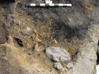 Cronica Cercetărilor Arheologice din România, Campania 2013. Raportul nr. 64, Petreştii De Jos, Cheile Turzii, Peştera Ungurească, Peştera Binder<br /><a href='CronicaCAfotografii/2013/064-petresti/fig-8b.jpg' target=_blank>Priveşte aceeaşi imagine într-o fereastră nouă</a>