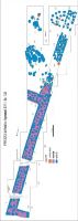 Cronica Cercetărilor Arheologice din România, Campania 2013. Raportul nr. 67, Pietroasele<br /><a href='CronicaCAfotografii/2013/067-pietroasele/fig-3-1.jpg' target=_blank>Priveşte aceeaşi imagine într-o fereastră nouă</a>