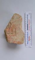 Cronica Cercetărilor Arheologice din România, Campania 2013. Raportul nr. 67, Pietroasele<br /><a href='CronicaCAfotografii/2013/067-pietroasele/fig-4-3.jpg' target=_blank>Priveşte aceeaşi imagine într-o fereastră nouă</a>