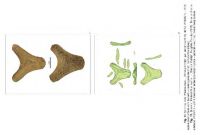 Cronica Cercetărilor Arheologice din România, Campania 2013. Raportul nr. 84, Păuleni-Ciuc, Dâmbul Cetăţii (Dealul Cetăţii, Vardomb)<br /><a href='CronicaCAfotografii/2013/084-soimeni/fig-12.jpg' target=_blank>Priveşte aceeaşi imagine într-o fereastră nouă</a>