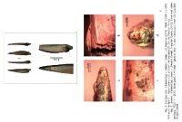 Cronica Cercetărilor Arheologice din România, Campania 2013. Raportul nr. 84, Păuleni-Ciuc, Dâmbul Cetăţii (Dealul Cetăţii, Vardomb)<br /><a href='CronicaCAfotografii/2013/084-soimeni/fig-7.jpg' target=_blank>Priveşte aceeaşi imagine într-o fereastră nouă</a>