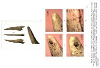 Cronica Cercetărilor Arheologice din România, Campania 2013. Raportul nr. 84, Păuleni-Ciuc, Dâmbul Cetăţii (Dealul Cetăţii, Vardomb)<br /><a href='CronicaCAfotografii/2013/084-soimeni/fig-8.jpg' target=_blank>Priveşte aceeaşi imagine într-o fereastră nouă</a>