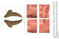 Cronica Cercetărilor Arheologice din România, Campania 2013. Raportul nr. 84, Păuleni-Ciuc, Dâmbul Cetăţii (Dealul Cetăţii, Vardomb)<br /><a href='CronicaCAfotografii/2013/084-soimeni/fig-9.jpg' target=_blank>Priveşte aceeaşi imagine într-o fereastră nouă</a>