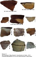 Cronica Cercetărilor Arheologice din România, Campania 2013. Raportul nr. 107, Cavadineşti, Râpa Glodului<br /><a href='CronicaCAfotografii/2013/107-cavadinesti/10.jpg' target=_blank>Priveşte aceeaşi imagine într-o fereastră nouă</a>