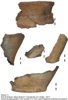 Cronica Cercetărilor Arheologice din România, Campania 2013. Raportul nr. 107, Cavadineşti, Râpa Glodului<br /><a href='CronicaCAfotografii/2013/107-cavadinesti/11.jpg' target=_blank>Priveşte aceeaşi imagine într-o fereastră nouă</a>