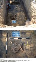Cronica Cercetărilor Arheologice din România, Campania 2013. Raportul nr. 107, Cavadineşti, Râpa Glodului<br /><a href='CronicaCAfotografii/2013/107-cavadinesti/5.jpg' target=_blank>Priveşte aceeaşi imagine într-o fereastră nouă</a>