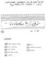 Cronica Cercetărilor Arheologice din România, Campania 2013. Raportul nr. 109, Curtişoara, În Lunci<br /><a href='CronicaCAfotografii/2013/109-curtisoara/5.jpg' target=_blank>Priveşte aceeaşi imagine într-o fereastră nouă</a>
