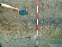 Cronica Cercetărilor Arheologice din România, Campania 2013. Raportul nr. 112, Fulgeriş, La Trei Cireşi (Dealul Fulgeriş).<br /> Sectorul Ilustratie.<br /><a href='CronicaCAfotografii/2013/112-fulgeris/10.jpg' target=_blank>Priveşte aceeaşi imagine într-o fereastră nouă</a>