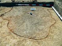 Cronica Cercetărilor Arheologice din România, Campania 2013. Raportul nr. 112, Fulgeriş, La Trei Cireşi (Dealul Fulgeriş).<br /> Sectorul Ilustratie.<br /><a href='CronicaCAfotografii/2013/112-fulgeris/5.jpg' target=_blank>Priveşte aceeaşi imagine într-o fereastră nouă</a>