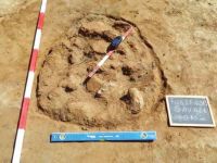 Cronica Cercetărilor Arheologice din România, Campania 2013. Raportul nr. 112, Fulgeriş, La Trei Cireşi (Dealul Fulgeriş).<br /> Sectorul Ilustratie.<br /><a href='CronicaCAfotografii/2013/112-fulgeris/8a.jpg' target=_blank>Priveşte aceeaşi imagine într-o fereastră nouă</a>