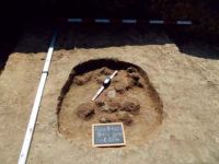 Cronica Cercetărilor Arheologice din România, Campania 2013. Raportul nr. 112, Fulgeriş, La Trei Cireşi (Dealul Fulgeriş).<br /> Sectorul Ilustratie.<br /><a href='CronicaCAfotografii/2013/112-fulgeris/8b.jpg' target=_blank>Priveşte aceeaşi imagine într-o fereastră nouă</a>