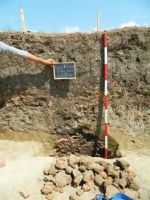 Cronica Cercetărilor Arheologice din România, Campania 2013. Raportul nr. 112, Fulgeriş, La Trei Cireşi (Dealul Fulgeriş).<br /> Sectorul Ilustratie.<br /><a href='CronicaCAfotografii/2013/112-fulgeris/9a.jpg' target=_blank>Priveşte aceeaşi imagine într-o fereastră nouă</a>