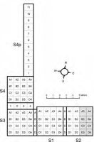 Cronica Cercetărilor Arheologice din România, Campania 2013. Raportul nr. 117, Iepureşti, La Izlaz<br /><a href='CronicaCAfotografii/2013/117-iepuresti/1.jpg' target=_blank>Priveşte aceeaşi imagine într-o fereastră nouă</a>