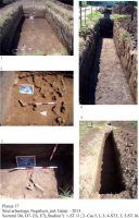 Cronica Cercetărilor Arheologice din România, Campania 2013. Raportul nr. 120, Negrileşti, Şcoala Generală (La Punte, Pin, Curtea Şcolii).<br /> Sectorul Stadion.<br /><a href='CronicaCAfotografii/2013/120-negrilesti/Stadion/pl-17.jpg' target=_blank>Priveşte aceeaşi imagine într-o fereastră nouă</a>. Titlu: Stadion