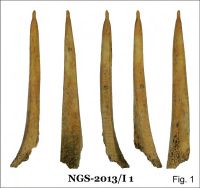 Cronica Cercetărilor Arheologice din România, Campania 2013. Raportul nr. 120, Negrileşti, Şcoala Generală (La Punte, Pin, Curtea Şcolii).<br /> Sectorul curtea-scolii.<br /><a href='CronicaCAfotografii/2013/120-negrilesti/curtea-scolii/fig-1.jpg' target=_blank>Priveşte aceeaşi imagine într-o fereastră nouă</a>. Titlu: curtea-scolii
